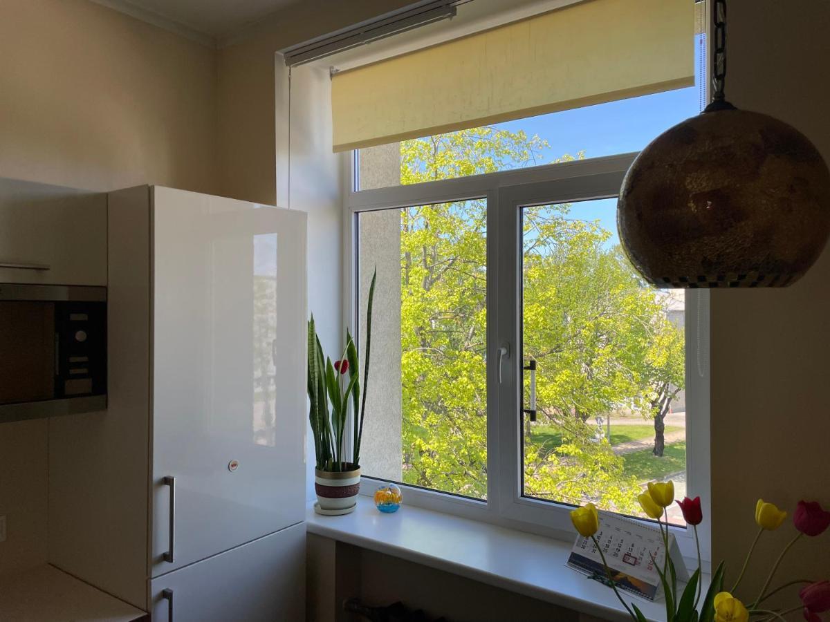 Alta Apartment *